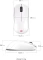 BenQ Zowie U2-DW 4K Wireless mit Ladestation, Glossy White Edition, USB Vorschaubild