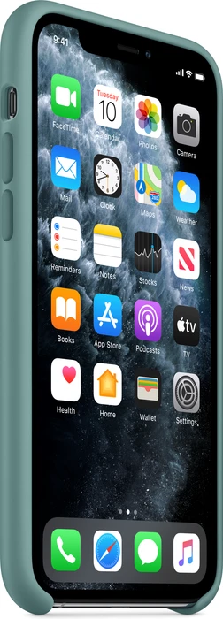Apple Silikon Case für iPhone 11 Pro Kaktus