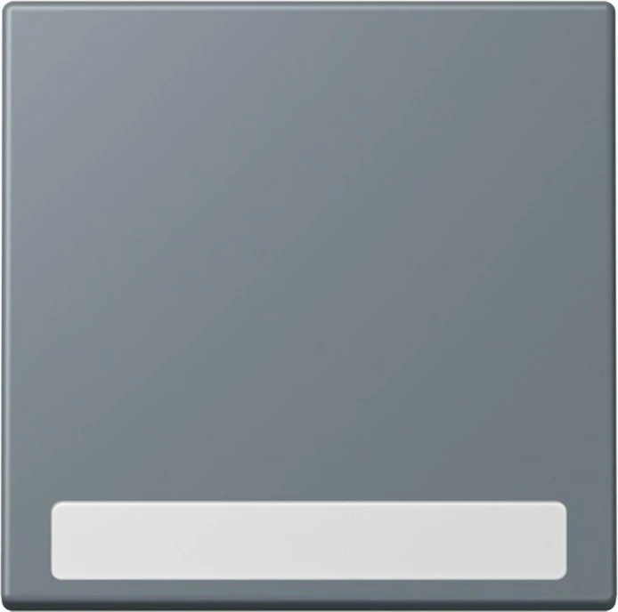 Jung Wippe 1-fach, gris 59