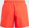 adidas Classic Badge of Sport Badeshorts bright red/white (Junior) Vorschaubild