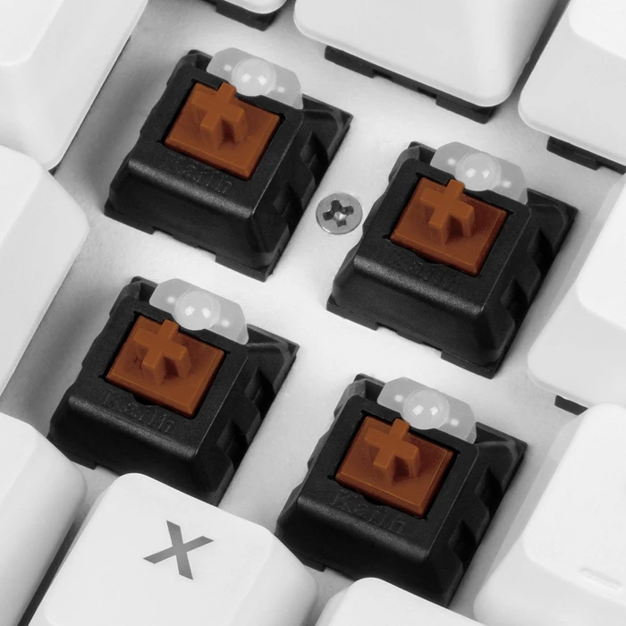 Sharkoon Skiller SGK3, LEDs RGB, White, Kailh BROWN, USB, DE