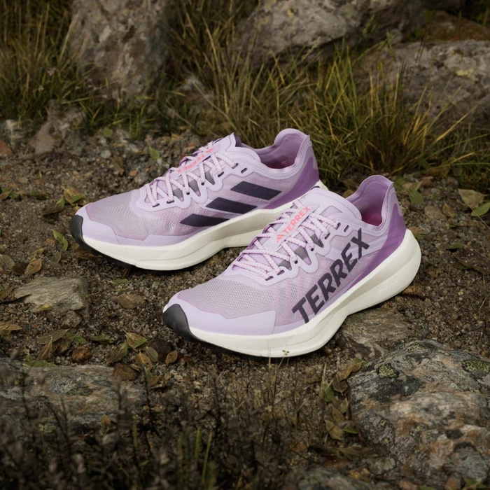 adidas Terrex Agravic Speed powder plum/aurora plum/lucid red ab € 98 ...