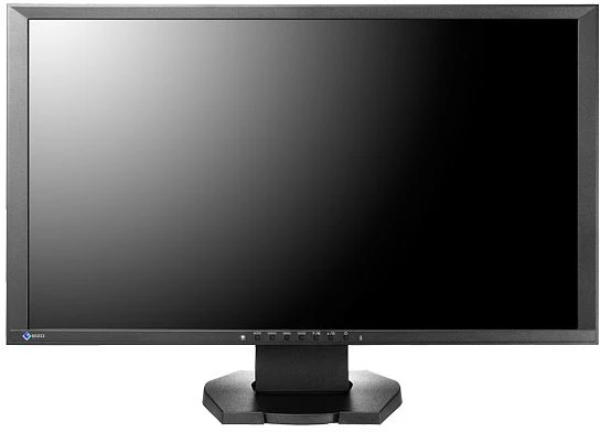 Eizo Foris FG2421, schwarz, 23.5"