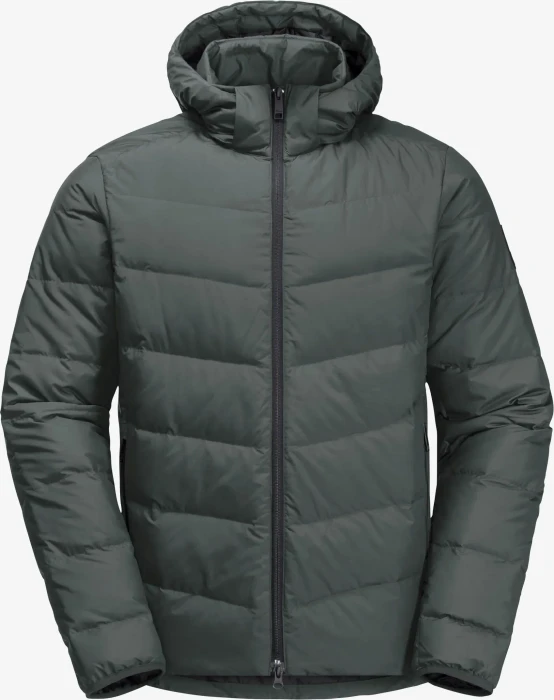 Jack Wolfskin Colonius Funktionsjacke slate green (Herren)