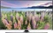 Samsung UE32J5550 Vorschaubild