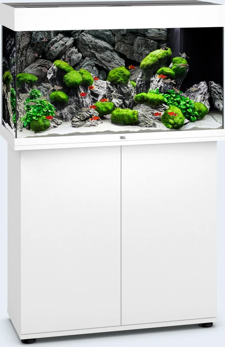 Juwel Rio 125 LED Aquarium