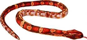 Coppenrath Nature Zoom Wild - Kornnatter 200cm