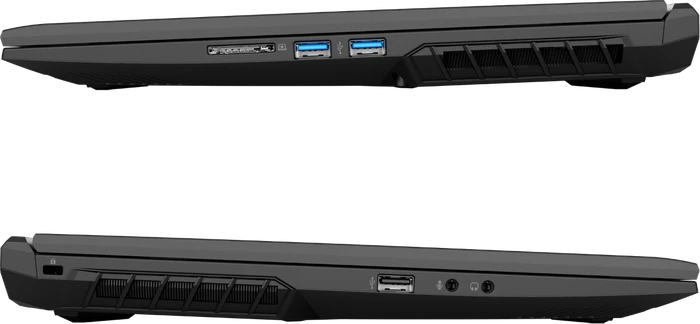 Schenker XMG Core 17-E21 Intel, Core i7-10870H, 8GB RAM, 250GB SSD, GeForce RTX 3060, DE