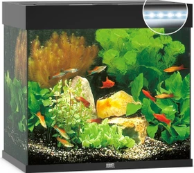 Juwel Lido 120 LED Aquarium-Set, schwarz, 120l