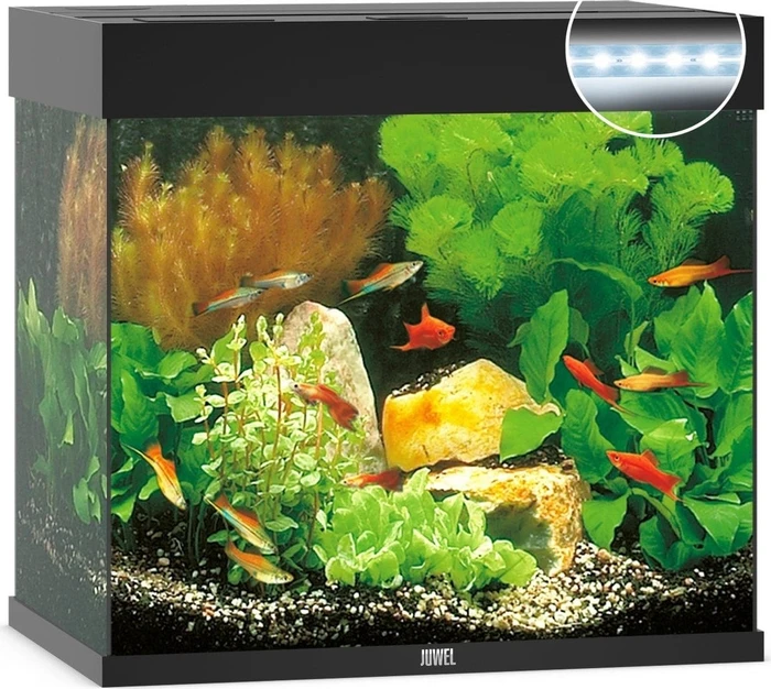 Juwel Lido 120 LED Aquarium-Set, schwarz, 120l