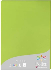 Clairefontaine Pollen Universalpapier minzgrün, A4, 210g/m², 25 Blatt