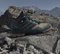 adidas Terrex Skychaser Mid GTX cardboard/core black/preloved teal (Herren) Vorschaubild