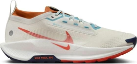 Nike Pegasus Trail 5 Gore-Tex phantom/dark russet/denim turquoise/vintage coral (Herren)