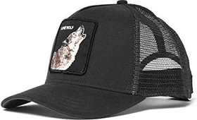 Goorin Bros The Lone Wolf Kappe schwarz