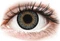 Alcon FreshLook One-Day Color Vorschaubild