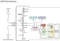Raspberry Pi Compute Module 3 - NEC Edition Vorschaubild