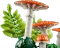 LEGO Botanicals - Waldpilze Vorschaubild
