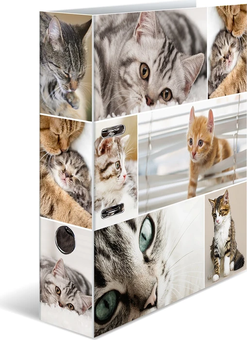 Herma Ordner 2-Ring mit Motiv, 70mm, A4, Animals Katzen