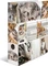 Herma Ordner 2-Ring mit Motiv, 70mm, A4, Animals Katzen Vorschaubild