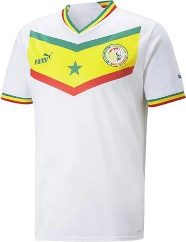 Puma FIFA WM 2022 Senegal Heimtrikot (Herren)