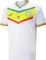 Puma FIFA WM 2022 Senegal Trikot (Herren) Vorschaubild