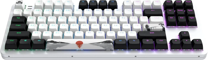 Dark Project ALU87 Fuji II Gaming Keyboard, weiß/schwarz, LEDs RGB, g3ms Sapphire, USB, UA/US