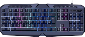 Speedlink Ludicium RGB Rainbow Gaming Keyboard, schwarz, USB, DE (SL-670004-BK)