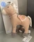 Sterntaler Pferd Sunny Spieluhr Vorschaubild