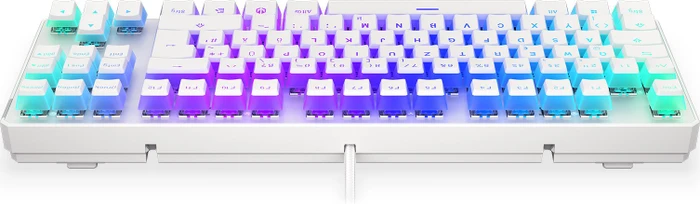 Endorfy Thock TKL Pudding, Onyx White, PBT, LEDs RGB, Kailh BROWN, USB, DE