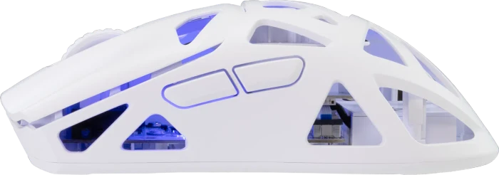 White Shark Dagonet Wireless Gaming Mouse, weiß, USB