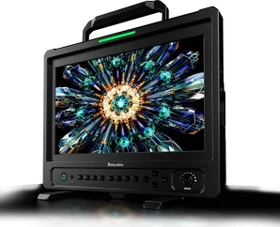 Desview OL14 13.3" Monitor