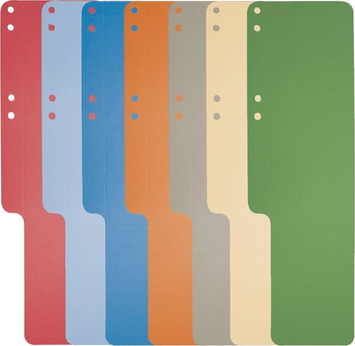 Exacompta Karton Aktenschwanz 320g/m², 10x31.8cm, grau, 100 Stück