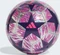 adidas UCL Budapest 2026 League Final Training Foil Fußball Vorschaubild