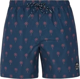Protest Alvis Badeshorts night skyblue (Herren)