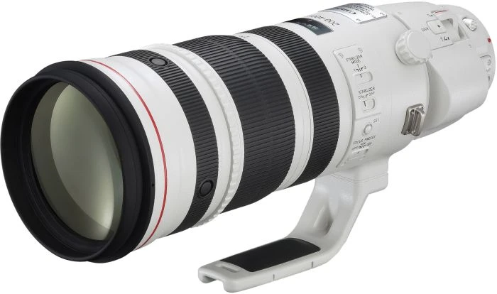 Canon EF 200-400mm 4.0 L IS USM Extender 1.4x