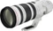 Canon EF 200-400mm 4.0 L IS USM Extender 1.4x Vorschaubild