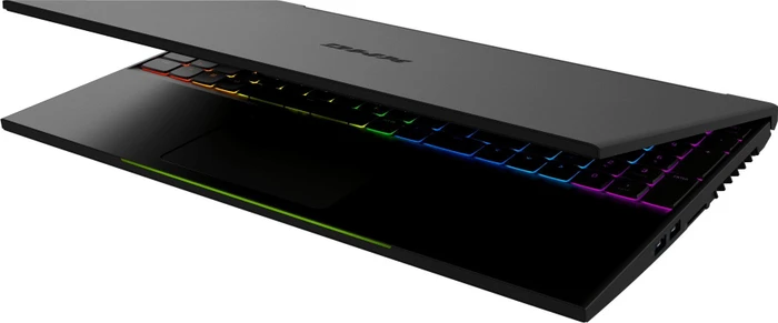 Schenker XMG NEO 15-M18thr, Core i7-8750H, 8GB RAM, 256GB SSD, GeForce GTX 1060, DE