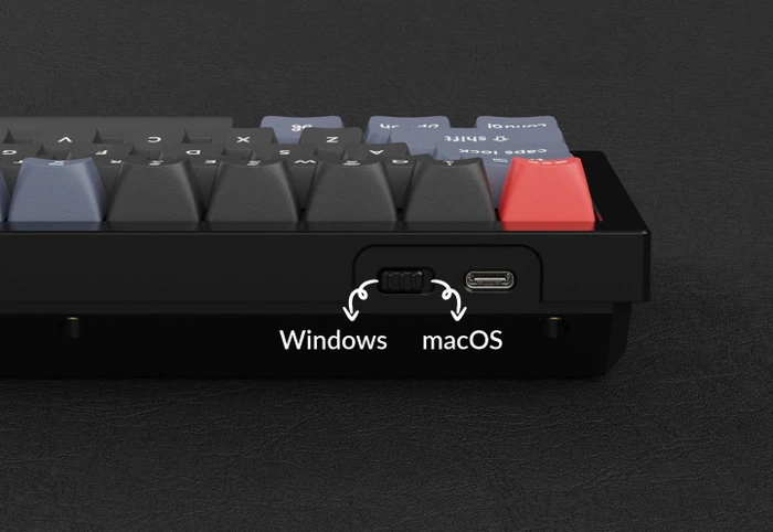 Keychron Q4, 60% Layout, LEDs RGB, Carbon Black, Gateron G Pro RED, USB, DE