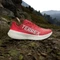 adidas Terrex Agravic Speed pure ruby/grey one/lucid red (Herren) Vorschaubild