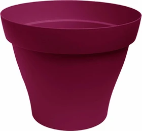 Poetic Romeo 11.7cm sauerkirsche