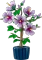 LEGO Botanicals - Hibiskus Vorschaubild