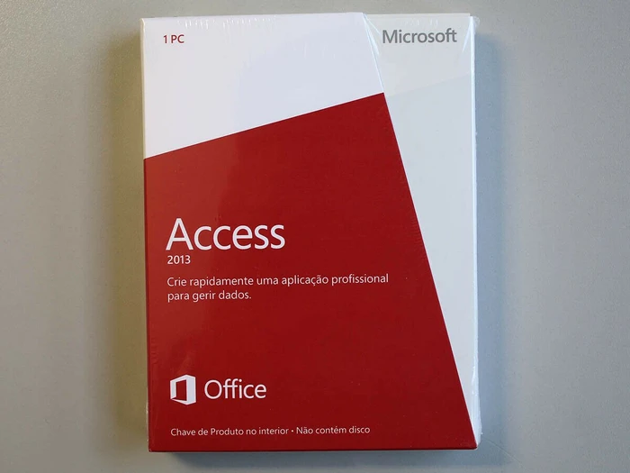 Microsoft Access 2013 (portugiesisch) (PC)