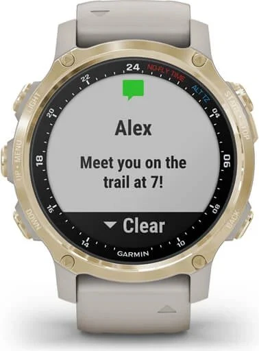 Garmin Descent Mk2S Tauchcomputer light gold/light sand