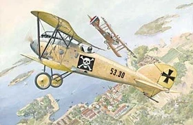 Roden Albatros D.III Oeffags.53