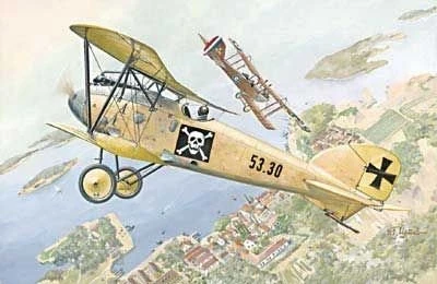 Roden Albatros D.III Oeffags.53