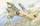 Roden Albatros D.III Oeffags.53 (022)
