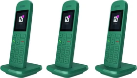 Telekom Speedphone 12 Trio petrol