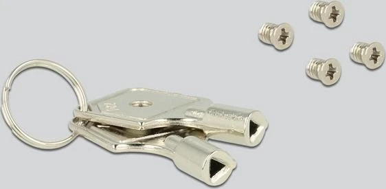 DeLOCK 2.5" Einschub/Carrier für Wechselrahmen 47228