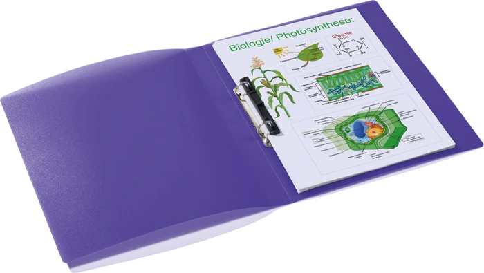 Herma Ringbuch 2-Ring, 25mm, A4, violett/transparent, 3er-Pack
