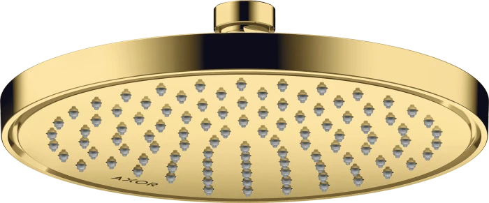 Hansgrohe AXOR ShowerSolutions Kopfbrause 220 1jet polished goldoptik